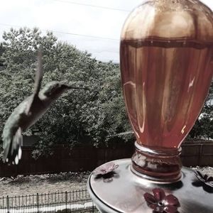 Meet your Posher, Tina